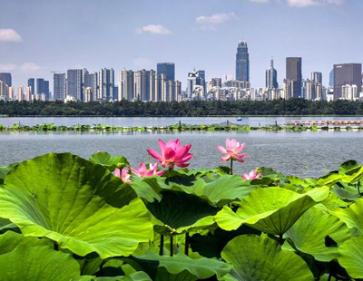 京东现货开卖不用等