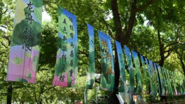 外交部：中方始终愿在平等友好基础上推动同印度各领域合作