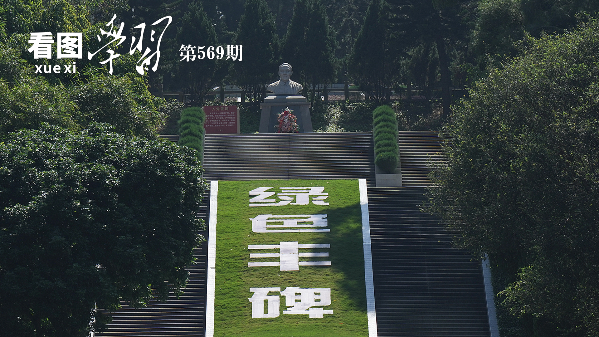 成全电影大全在线观看国语版