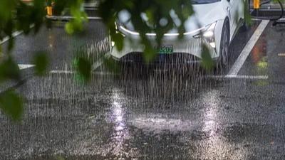 全国移民管理机构上半年缴毒4.07吨 破获万克以上毒品案件45起