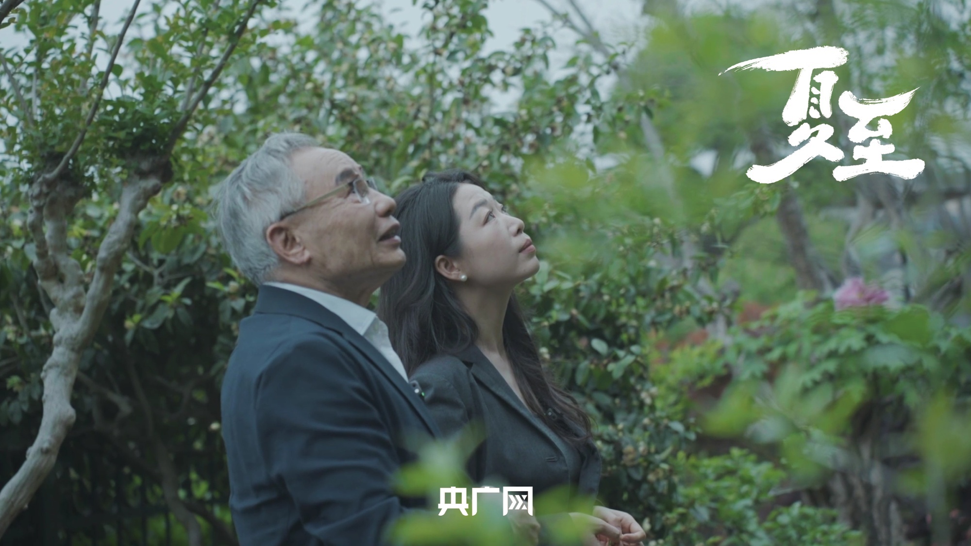 郑秀妍郑秀晶黄礼志申有娜新闻图