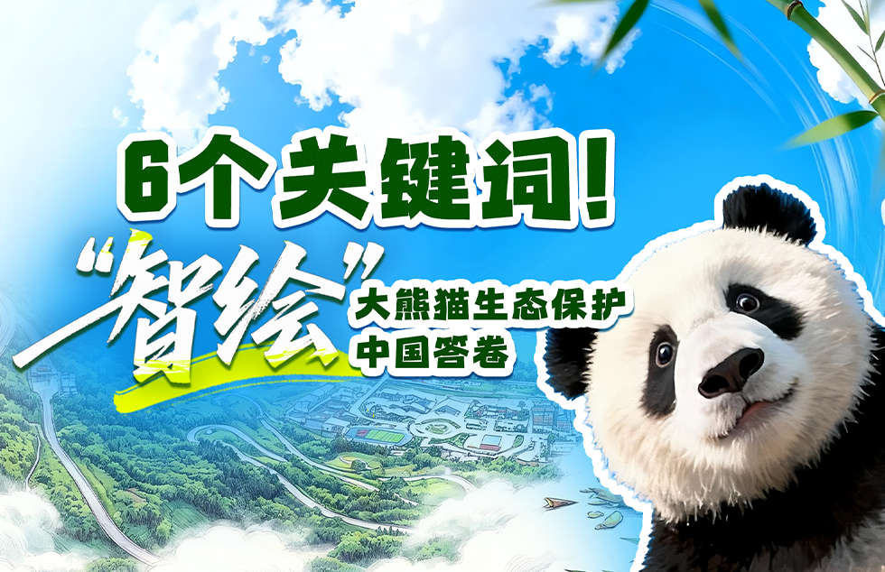杨紫李现国色芳华开始招商