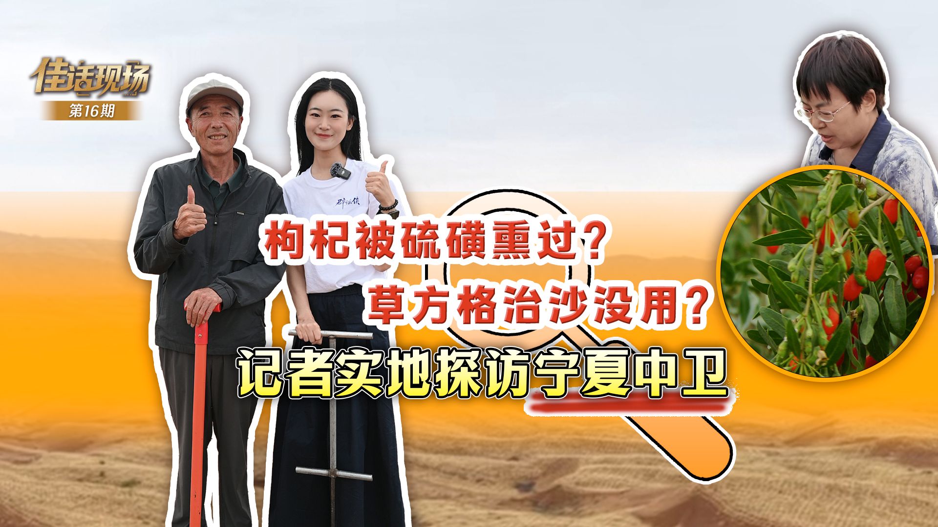 孙燕姿官宣演唱会