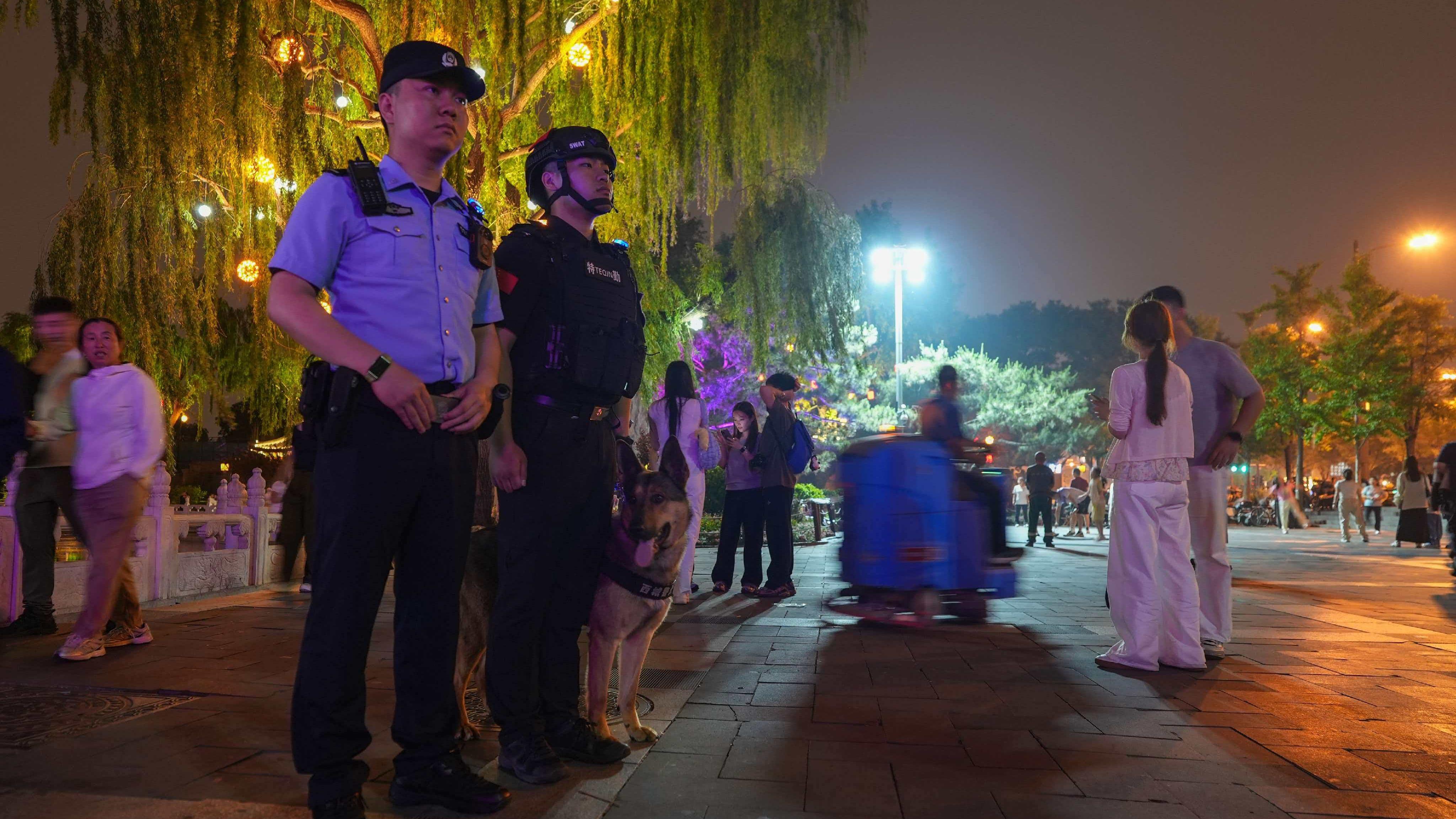杭州网红柿子树因长太好被质疑